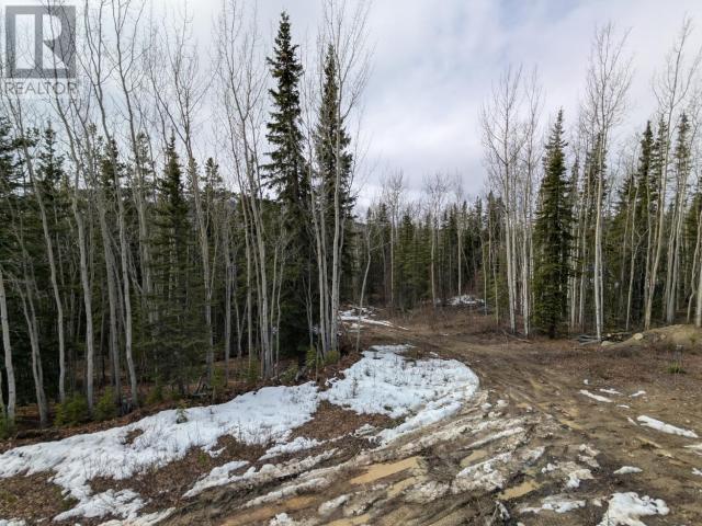 24 Tintina Subdivision, Faro, Yukon  Y0B 1K0 - Photo 15 - 16476