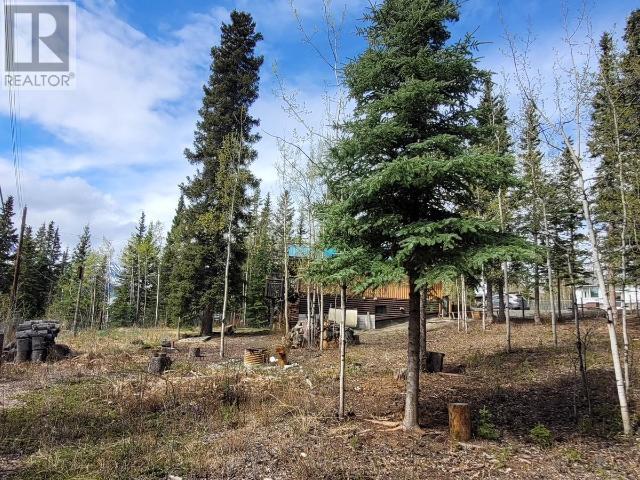 119 Alsek Crescent, Haines Junction, Yukon  Y0B 1L0 - Photo 10 - 16501