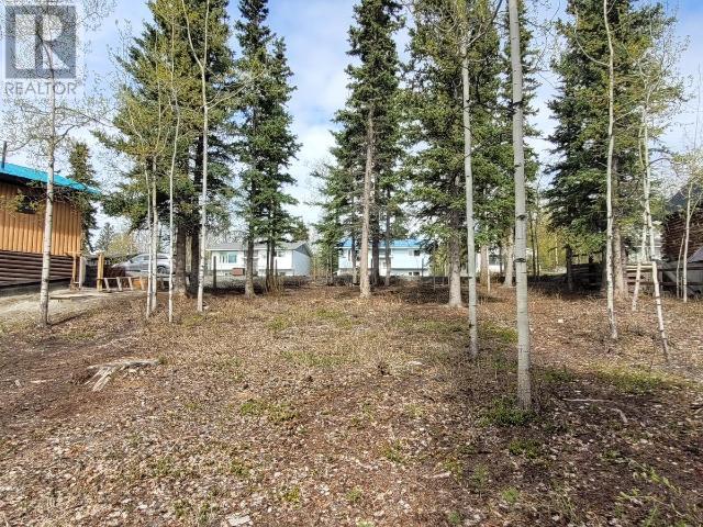 119 Alsek Crescent, Haines Junction, Yukon  Y0B 1L0 - Photo 9 - 16501