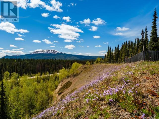 7 Tombstone Place, Whitehorse, Yukon  Y1A 5T4 - Photo 43 - 16521