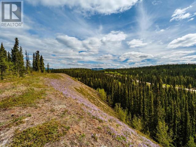 7 Tombstone Place, Whitehorse, Yukon  Y1A 5T4 - Photo 44 - 16521
