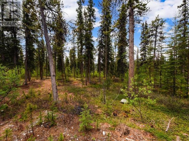 17 Coho Trail, Whitehorse, Yukon  Y1A 5Y2 - Photo 32 - 16573