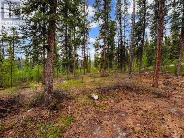 17 Coho Trail, Whitehorse, Yukon  Y1A 5Y2 - Photo 34 - 16573