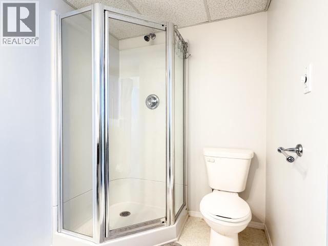 17 Hyland Crescent, Whitehorse, Yukon Y1A 4P6 - Photo 39 - 17450